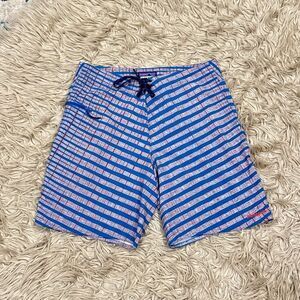 Patagonia Blue and Pink Striped Board Shorts